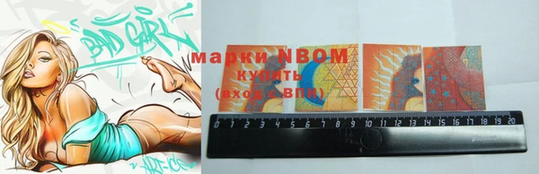 гашик Кодинск