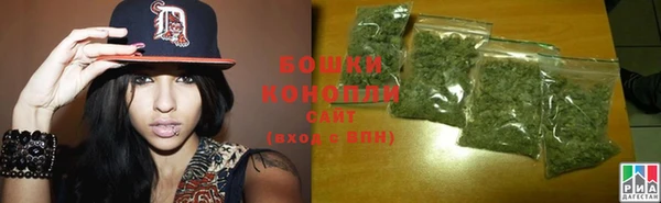 гашик Кодинск