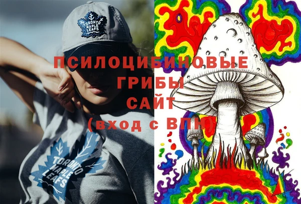 дурь Кинешма