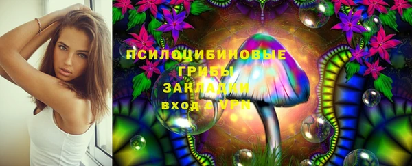 дмт Касимов