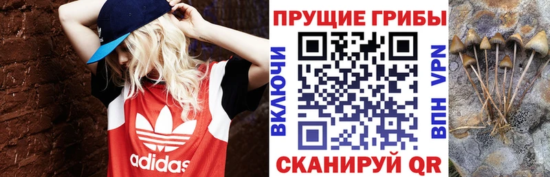 Галлюциногенные грибы мицелий  Купить  Вязники 